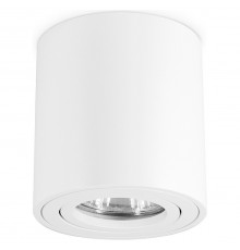 Накладной светильник Ambrella Light TN22701 TN