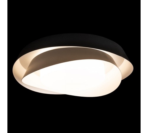 Накладной светильник Loft it 10256 Black Petale