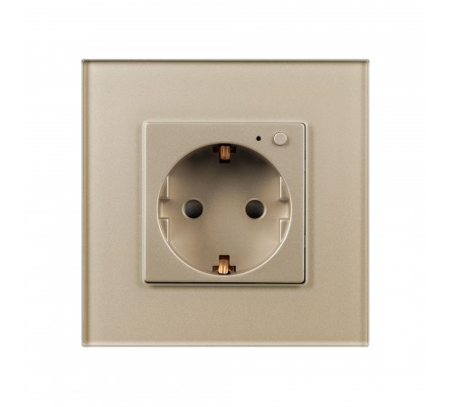 Розетка с заземлением Arlight 50218 OMALI