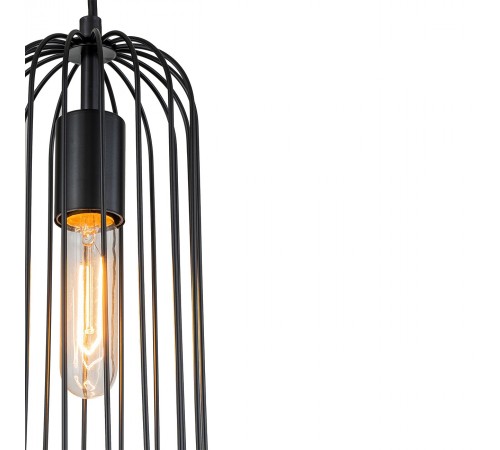 Подвесной светильник Escada 10198/1S Phoenix