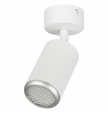 Спот Эра OL55 WH/SL