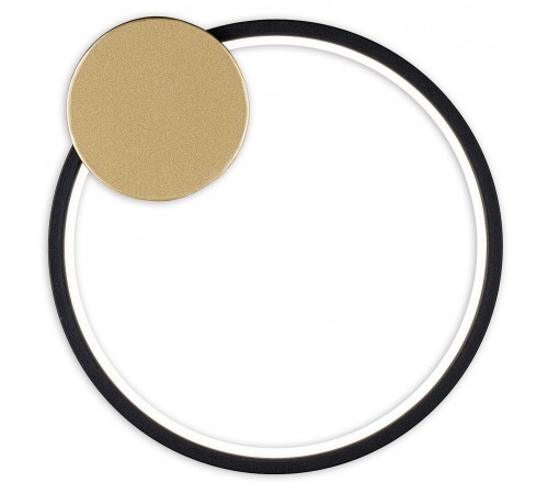 Накладной светильник Escada 10263/1LED Figures