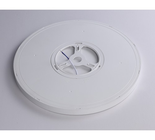 Накладной светильник Ambrella Light FZ1955 FZ