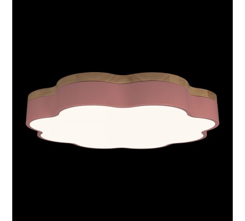 Накладной светильник Loft it 10225/36 Pink Axel