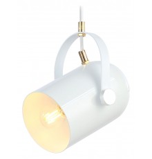 Подвесной светильник Ambrella Light TR8205 TR