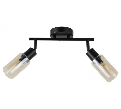 Спот Escada 10172/2A Amber Sector