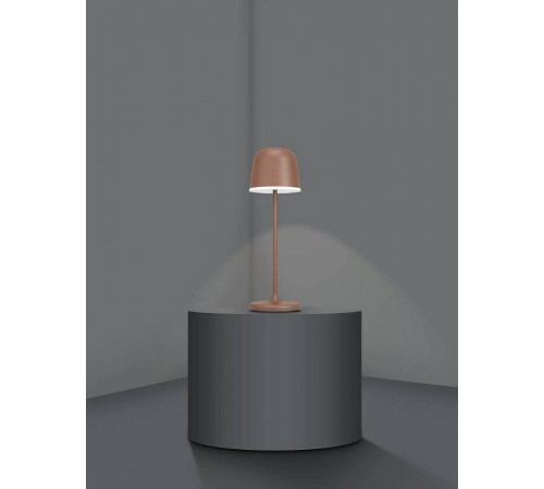 Настольная лампа декоративная Eglo 900459 Mannera