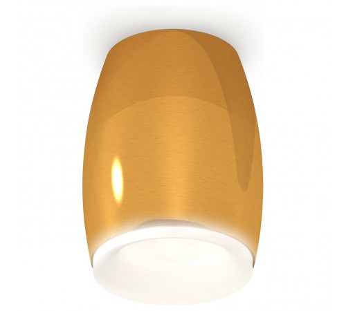 Накладной светильник Ambrella Light XS1125020 XS