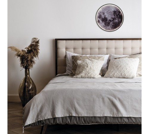 Накладной светильник Escada 10226/SG LED Mars Planet