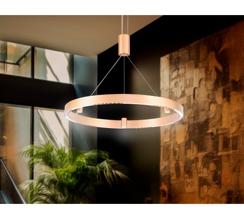 Подвесной светильник Ambrella Light FL5846 FL