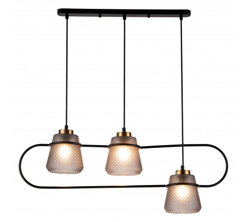 Подвесной светильник Indigo 11016/3P Black Astratto