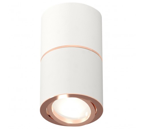 Накладной светильник Ambrella Light XS7401220 XS