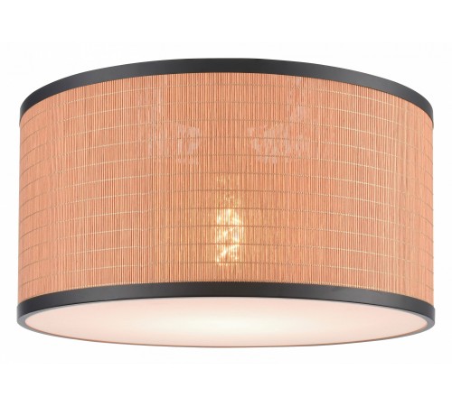 Накладной светильник Velante 568-707-01 568