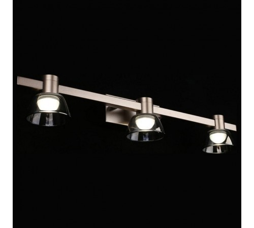 Бра Aployt APL.788.01.03 Rezeda