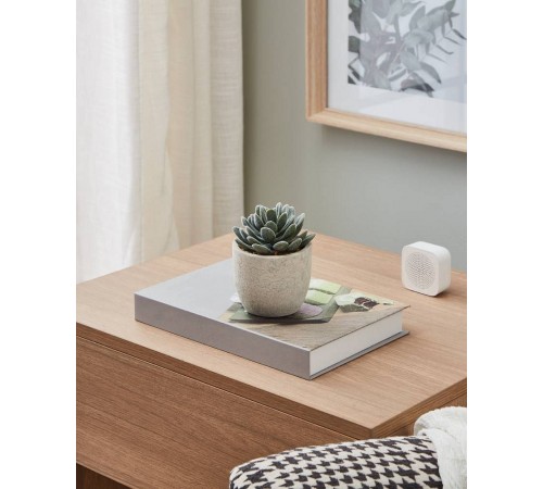 Растение в горшке (80x110) Chitose 428011