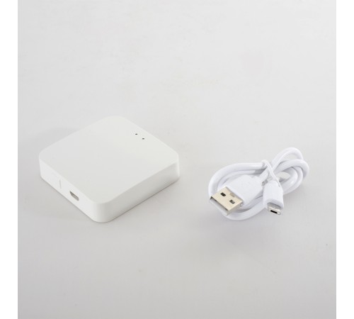 Модуль управления Space Smart Home Crystal Lux CLT 0.203 12