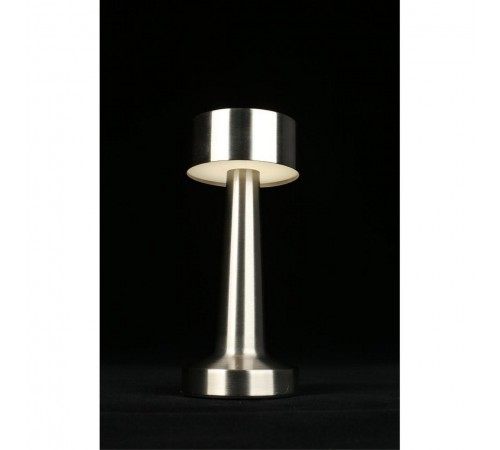 Настольная лампа декоративная Aployt APL.671.14.01 Perrayn