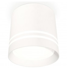 Накладной светильник Ambrella Light XS8110007 XS