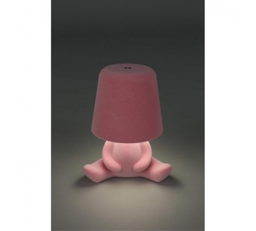 Зверь световой Aployt APL.677.14.01 Olka