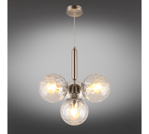 Подвесная люстра Aployt APL.728.16.04 Lora