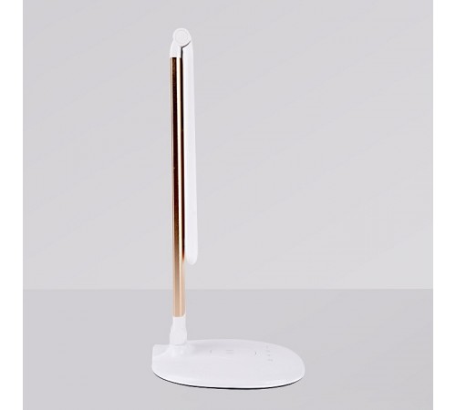 Настольная лампа офисная Ambrella Light DE525 DE