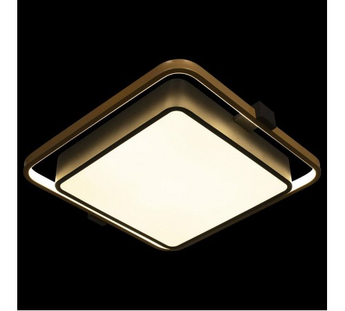 Накладной светильник Loft it 10171 Mike