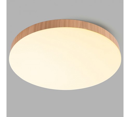 Накладной светильник Feron 51109 AL1600