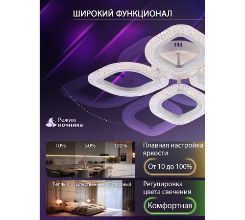 Потолочная люстра Natali Kovaltseva LED LAMPS 81455 SM