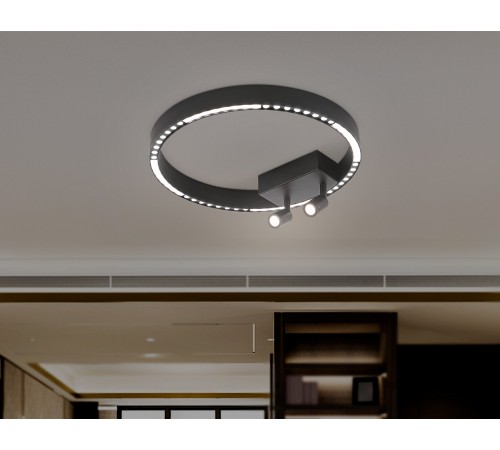 Накладной светильник Ambrella Light FL5806 FL