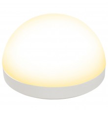 Светильник на штанге Uniel UL-00011790 GX 53 со сферическим рассеивателем