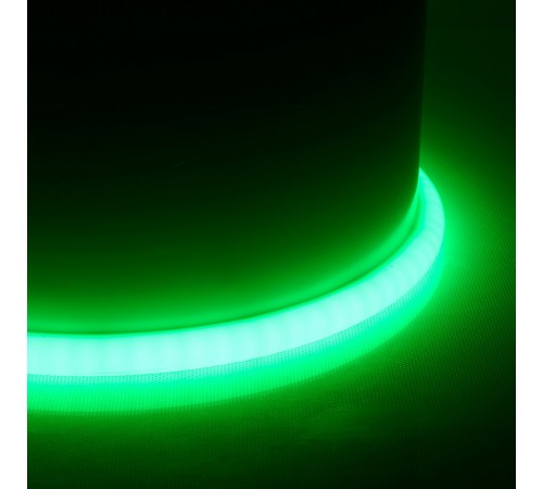 Шнур световой Feron 48731 LS551