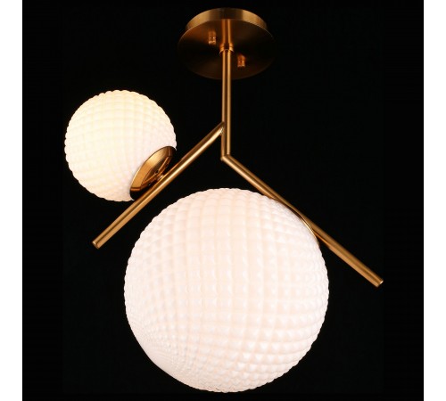 Светильник на штанге Aployt APL.300.07.02 Marzena