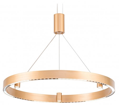 Подвесной светильник Ambrella Light FL5846 FL