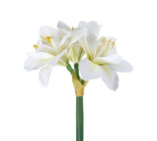 Цветок (210x630) Molave 428112