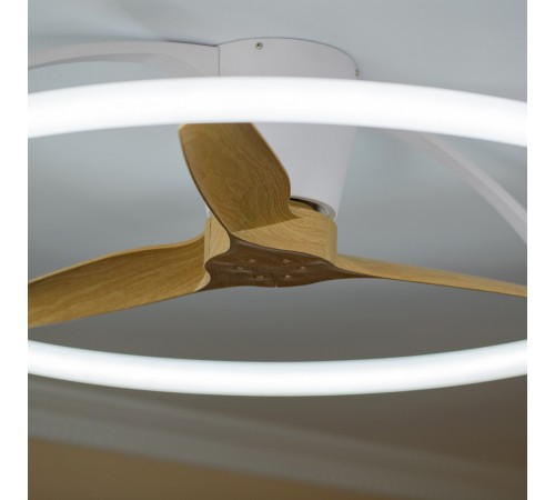 Светильник с вентилятором Mantra (люстры-вентиляторы) 7532 Nepal