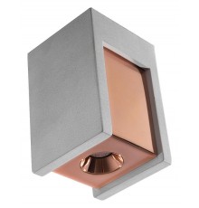 Накладной светильник Loft it OL1073-GG Architect