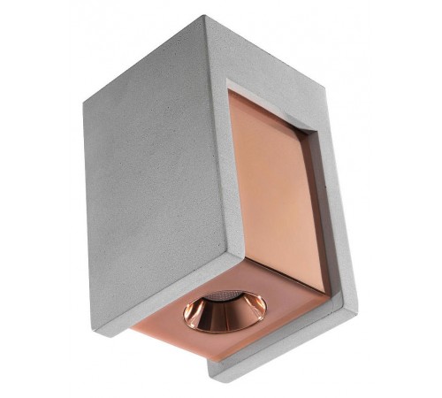 Накладной светильник Loft it OL1073-GG Architect