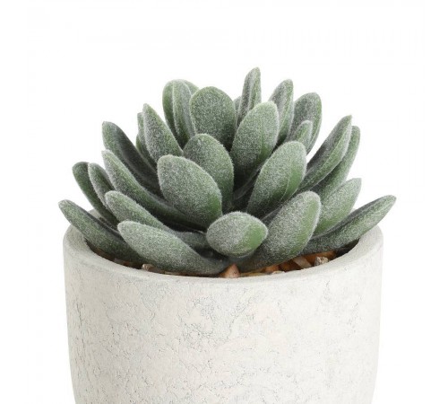 Растение в горшке (80x110) Chitose 428011