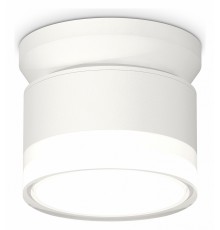 Накладной светильник Ambrella Light XS8101047 XS