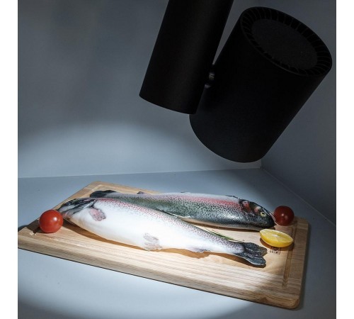 Светильник на штанге Arlight 026291 Lgd-Shop