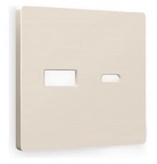 Накладка для розетки type A и C Ambrella Volt AP3310 Quant