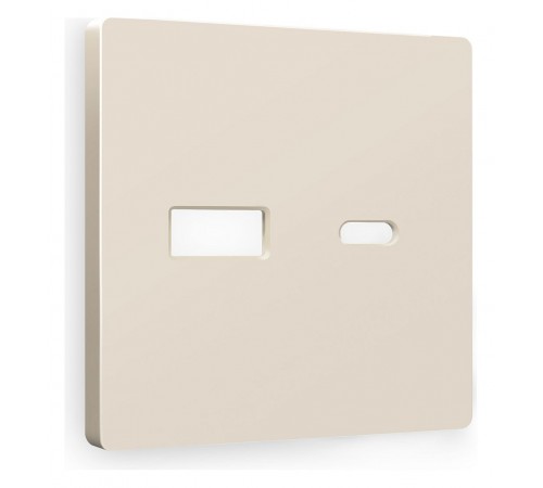 Накладка для розетки type A и C Ambrella Volt AP3310 Quant