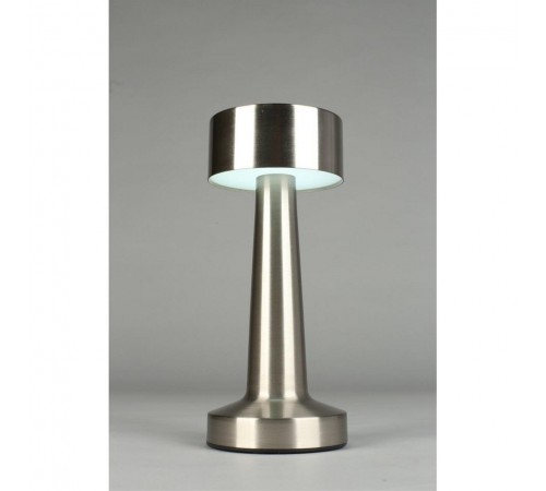 Настольная лампа декоративная Aployt APL.671.14.01 Perrayn