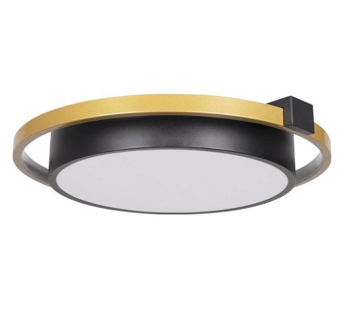 Накладной светильник Loft it 10169 Mike