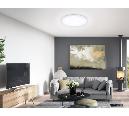 Накладной светильник Ambrella Light FZ1955 FZ