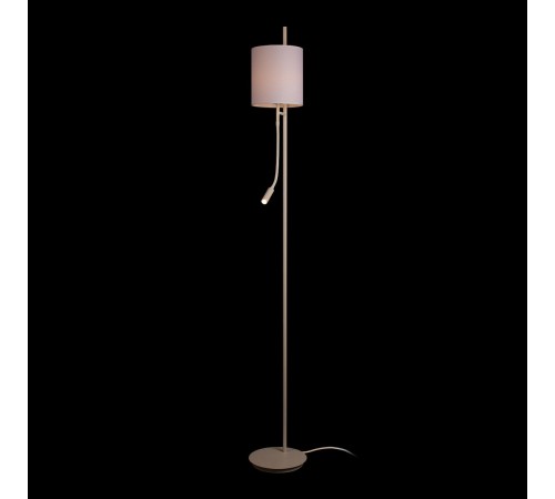 Торшер с подсветкой Loft it 10253F/B White Ritz