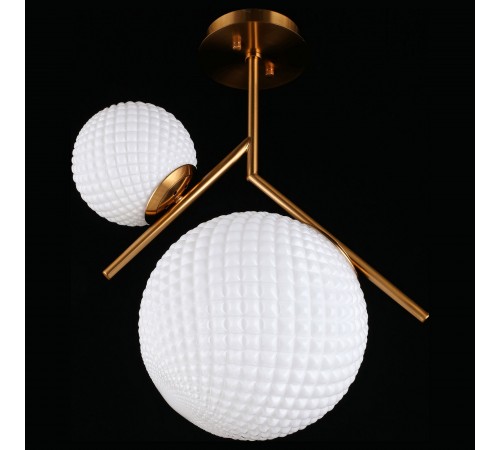 Светильник на штанге Aployt APL.300.07.02 Marzena