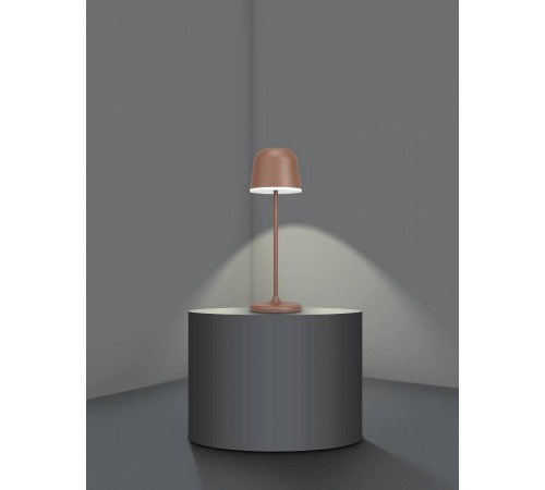 Настольная лампа декоративная Eglo 900459 Mannera