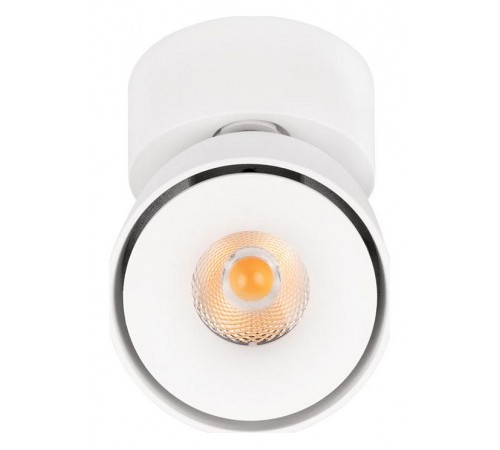 Спот Loft it 10323/A White Focus