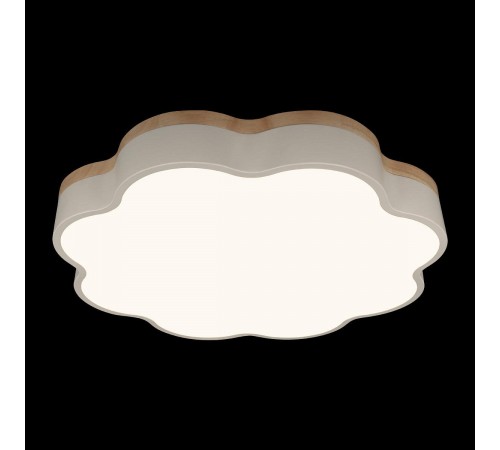 Накладной светильник Loft it 10225/36 White Axel